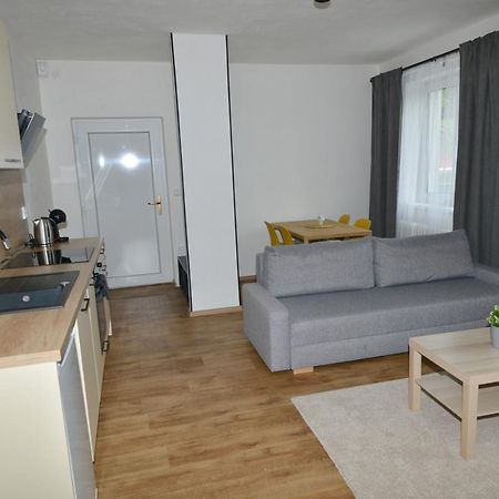 Apartmany U Peslu Zelezna Ruda Ngoại thất bức ảnh