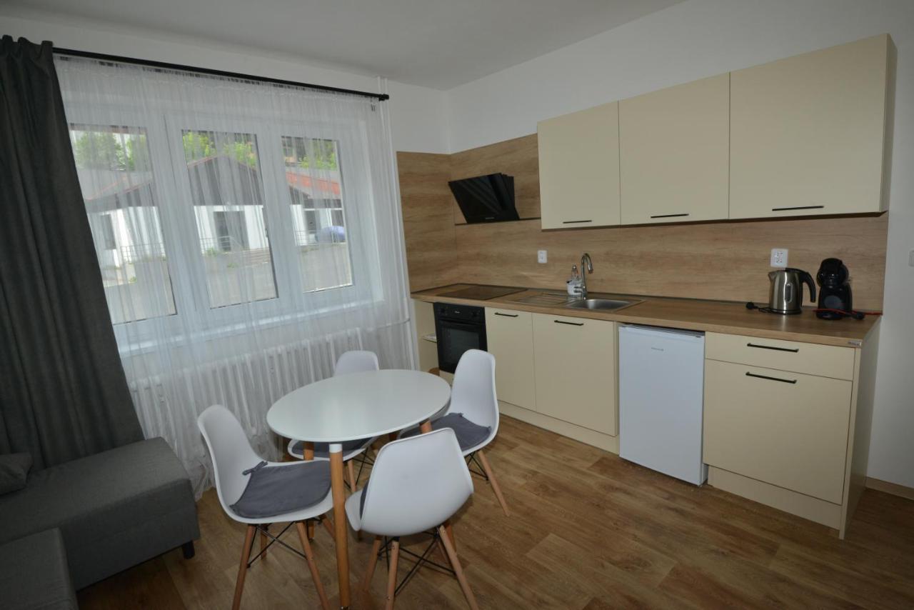 Apartmany U Peslu Zelezna Ruda Ngoại thất bức ảnh