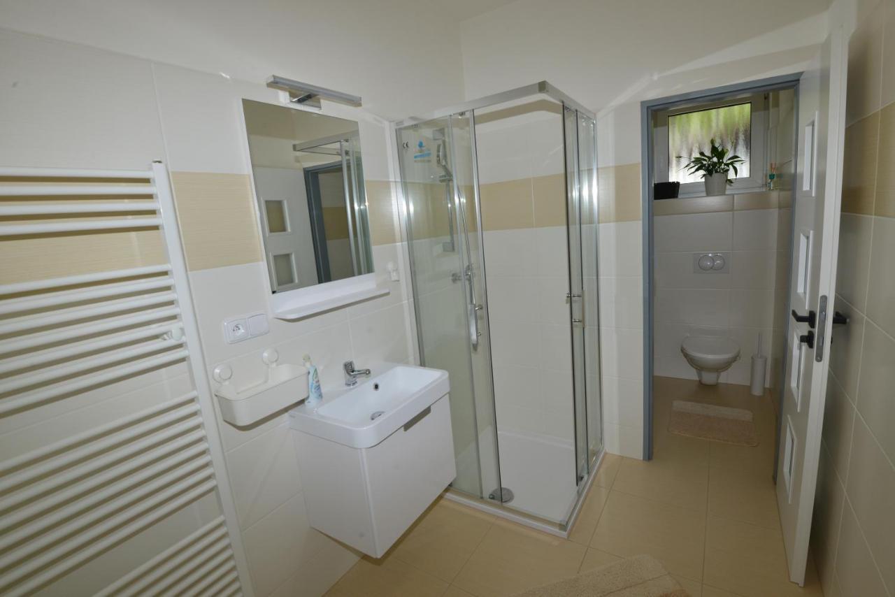 Apartmany U Peslu Zelezna Ruda Ngoại thất bức ảnh