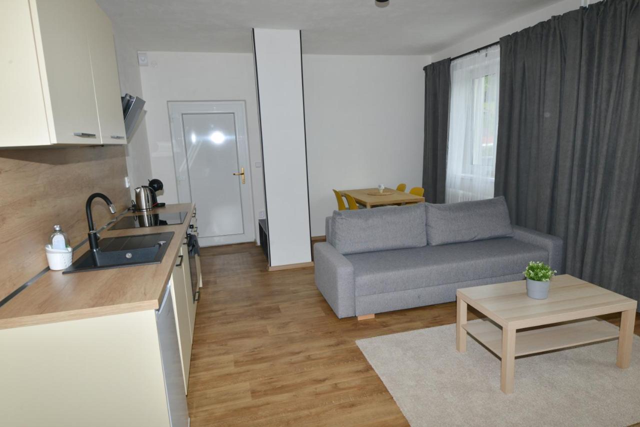 Apartmany U Peslu Zelezna Ruda Ngoại thất bức ảnh
